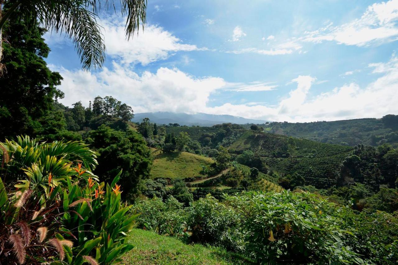 Апартаменты Supercostarica Гресия Экстерьер фото